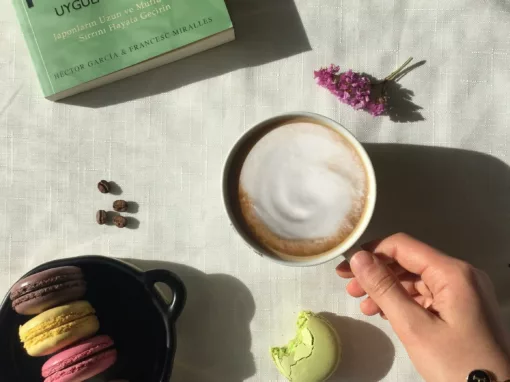 Méthode Ikigai : Trouvez votre raison d’Être Professionnelle Méthode Ikigai : Trouvez votre raison d’Être Professionnelle