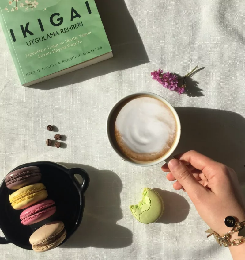 methode-ikigai Méthode ikigai pour trouver sa raison d'être professionnelle